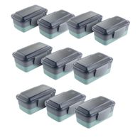 Conjunto de Lunch Box Verde Electrolux - 10 unidades