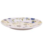 Aparelho-de-Jantar-Ceramica-20-Pecas-Flores-Azuis-Biona-1770390f
