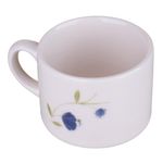 Aparelho-de-Jantar-Ceramica-20-Pecas-Flores-Azuis-Biona-1770390o