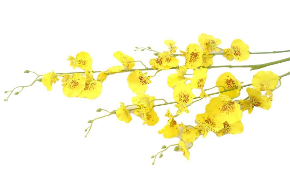 Orquídeas Chuva De Ouro 10 Galhos Grandes Artificial Flores - Casa & Vídeo